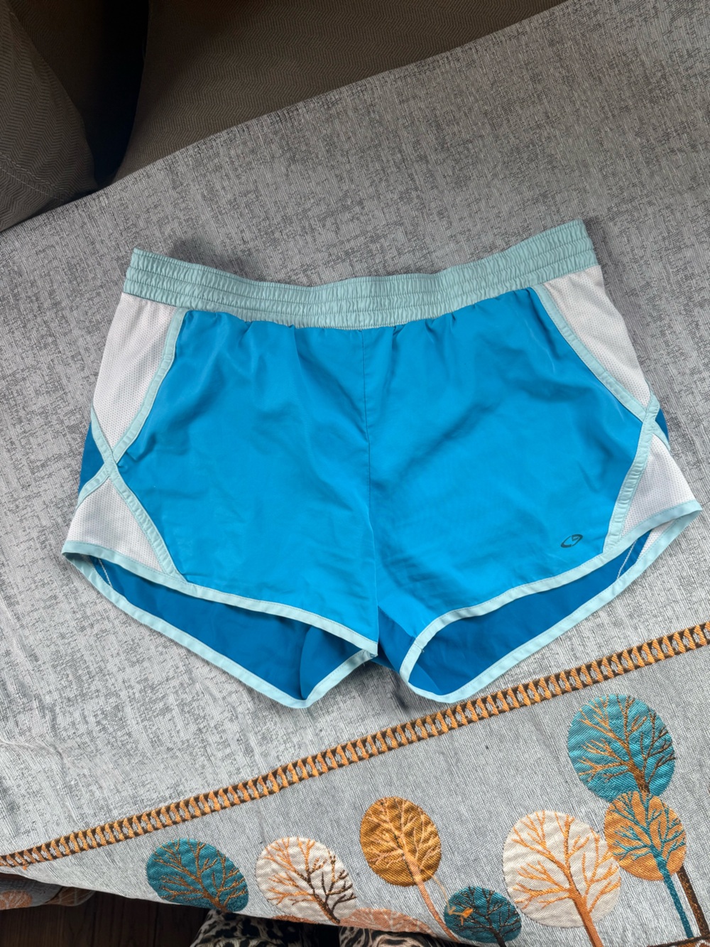 Champion Bright Aqua Women's Track Shorts